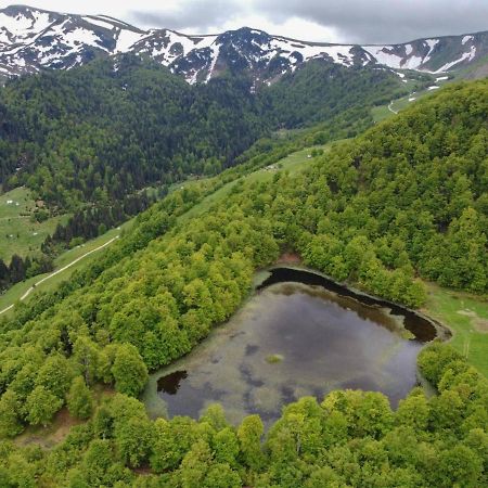 فيلا Rakovic Katun - Biogradska Gora Accomodation بيراني المظهر الخارجي الصورة