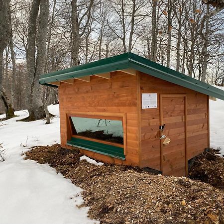 فيلا Rakovic Katun - Biogradska Gora Accomodation بيراني المظهر الخارجي الصورة