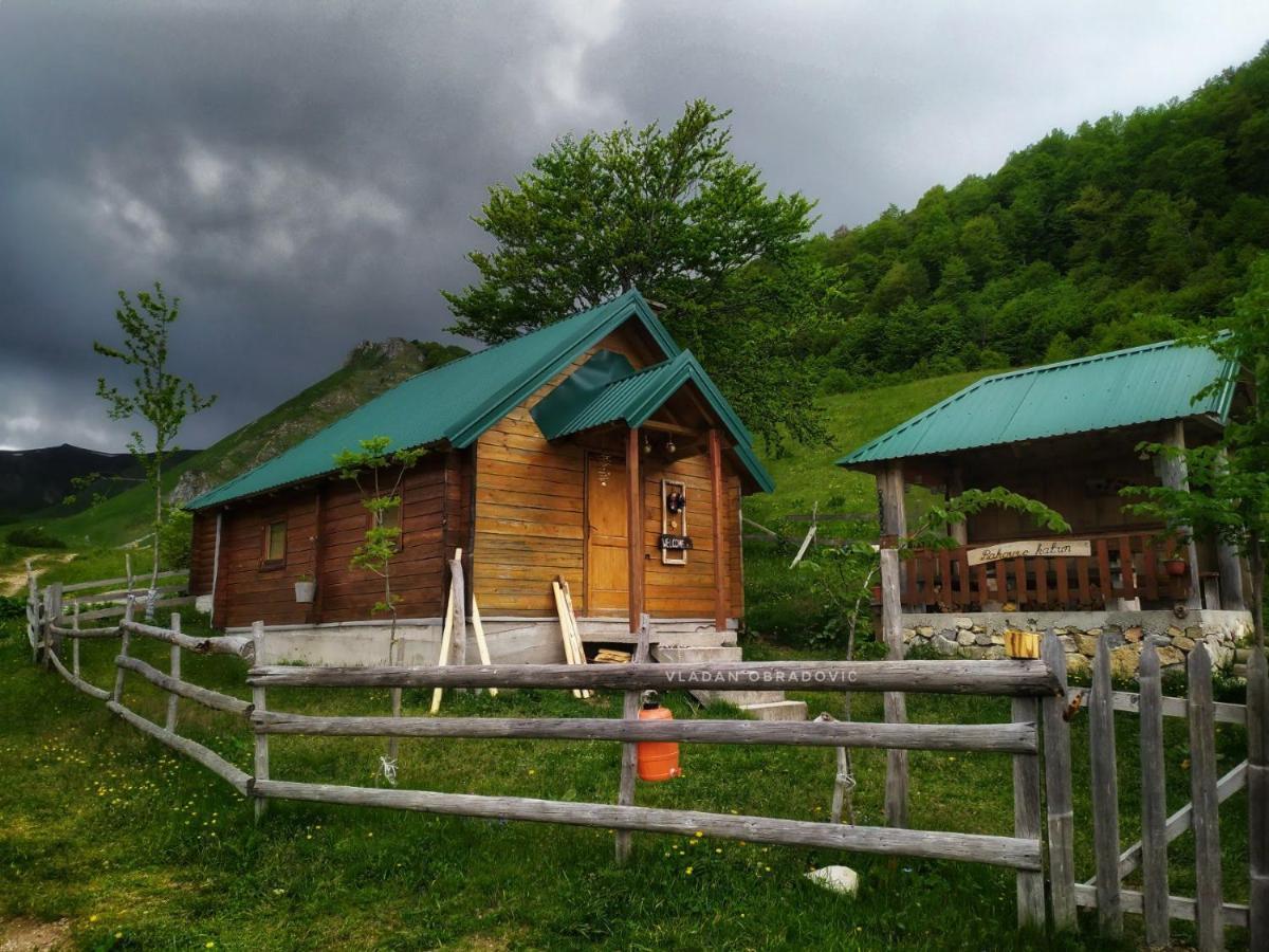 فيلا Rakovic Katun - Biogradska Gora Accomodation بيراني المظهر الخارجي الصورة