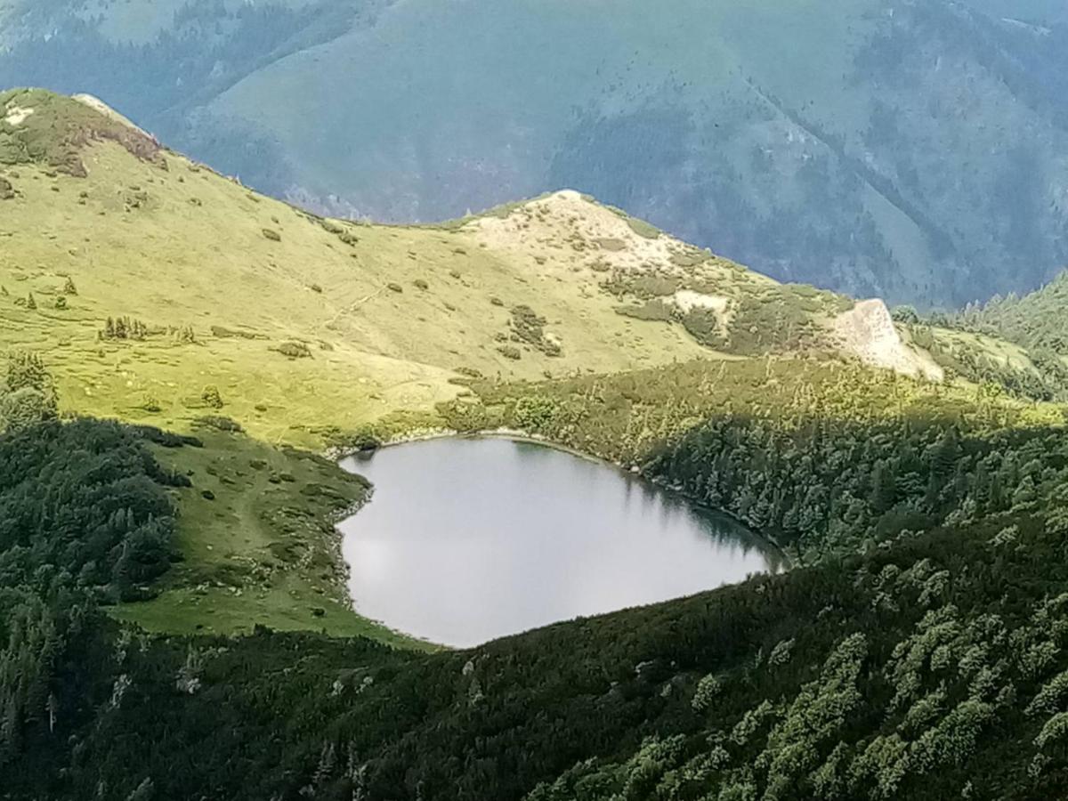 فيلا Rakovic Katun - Biogradska Gora Accomodation بيراني المظهر الخارجي الصورة