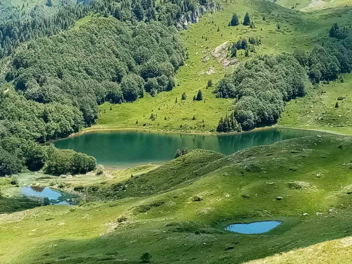 فيلا Rakovic Katun - Biogradska Gora Accomodation بيراني المظهر الخارجي الصورة