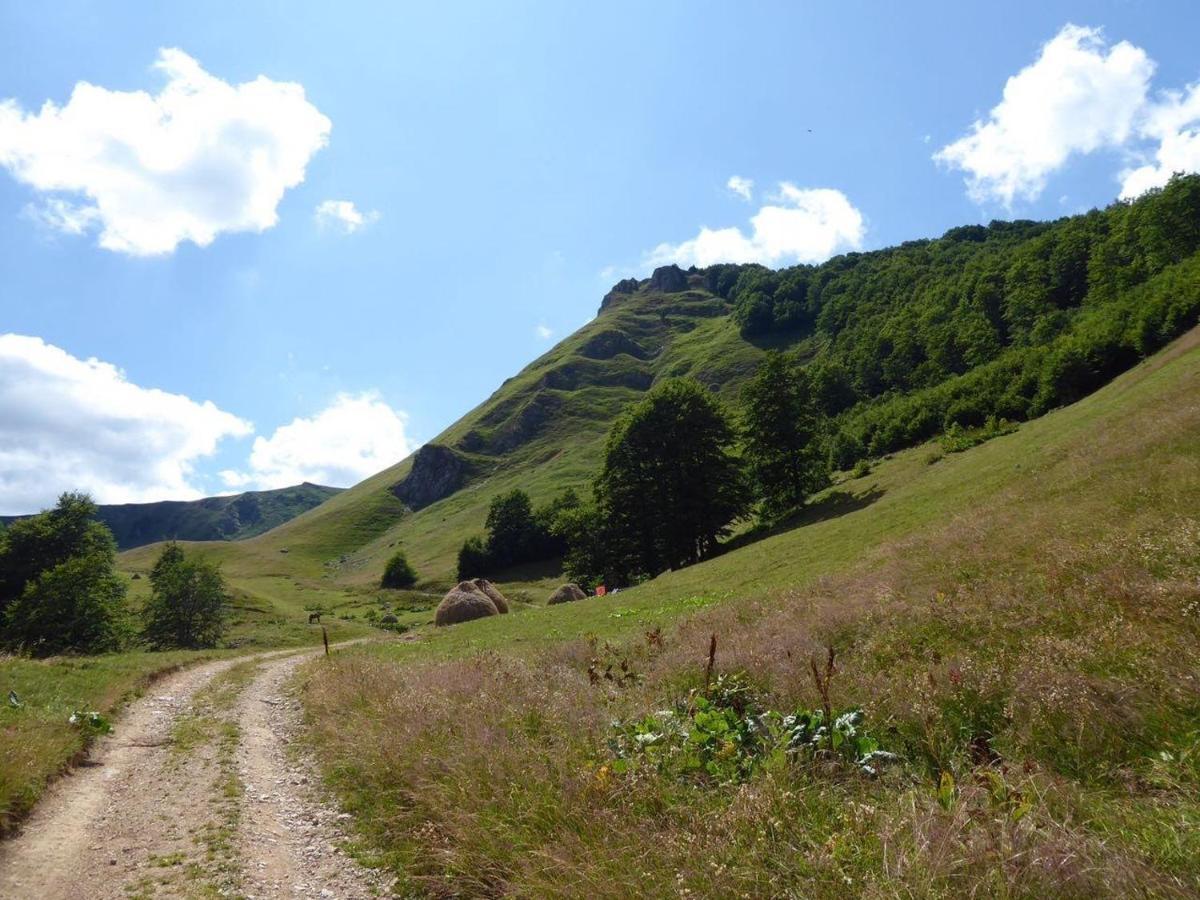 فيلا Rakovic Katun - Biogradska Gora Accomodation بيراني المظهر الخارجي الصورة