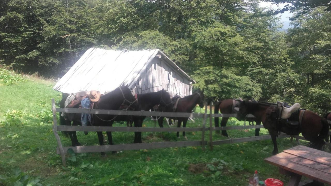 فيلا Rakovic Katun - Biogradska Gora Accomodation بيراني المظهر الخارجي الصورة