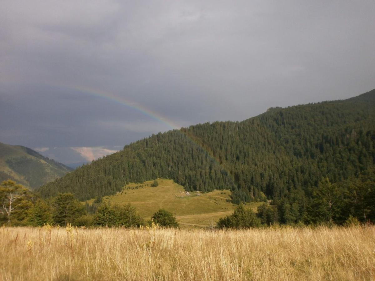 فيلا Rakovic Katun - Biogradska Gora Accomodation بيراني المظهر الخارجي الصورة