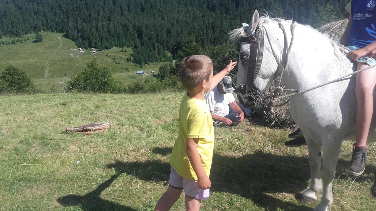 فيلا Rakovic Katun - Biogradska Gora Accomodation بيراني المظهر الخارجي الصورة