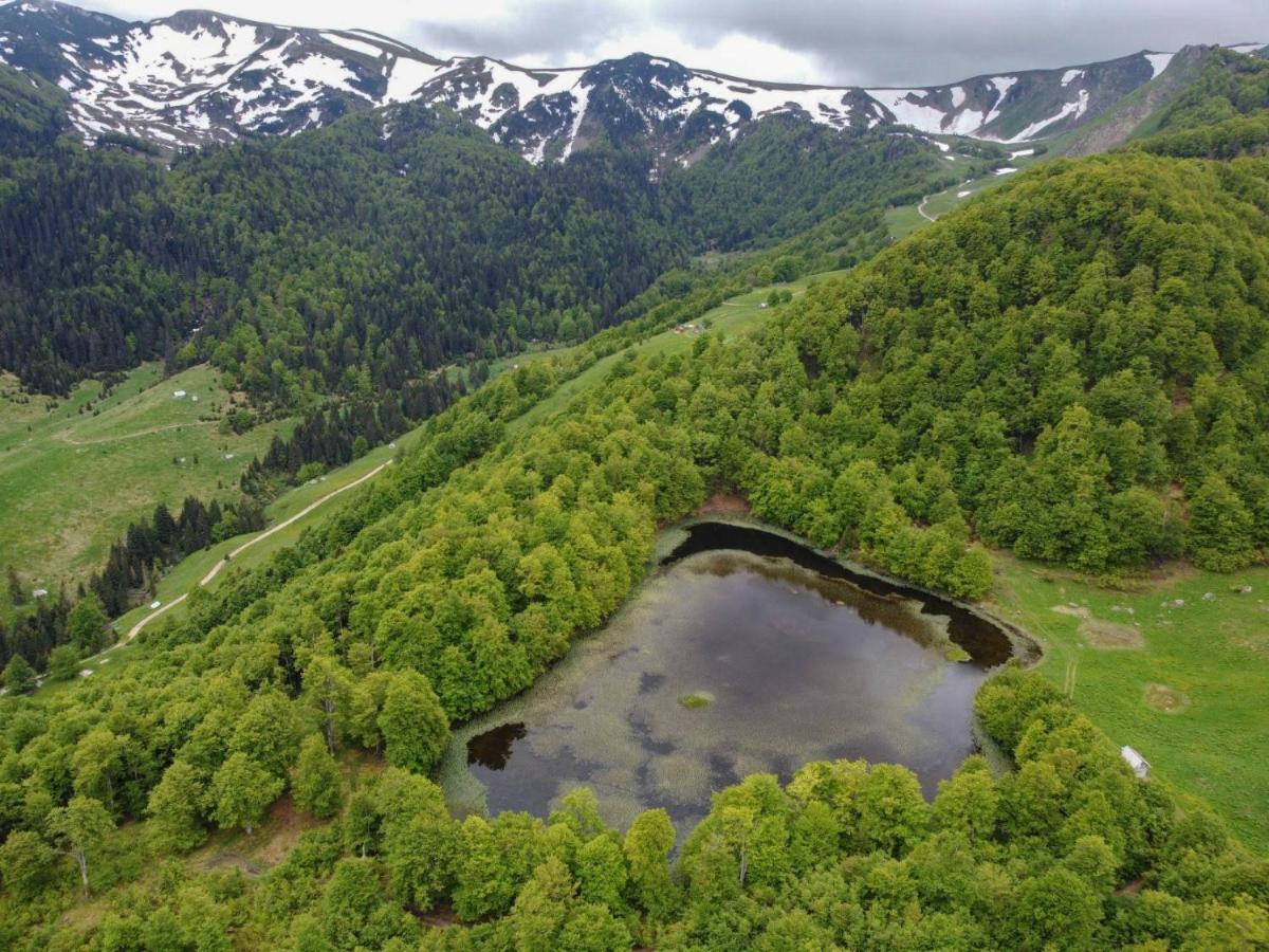 فيلا Rakovic Katun - Biogradska Gora Accomodation بيراني المظهر الخارجي الصورة